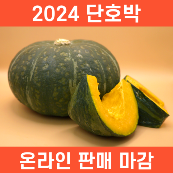 2024단호박 온라인 판매 마감