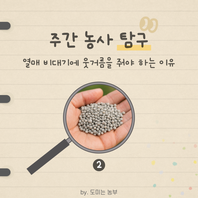 블로그 썸네일